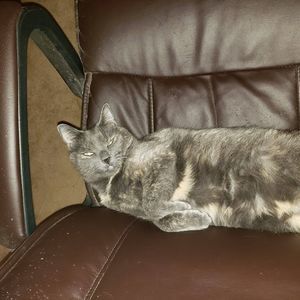 Meet your Posher, Patrick